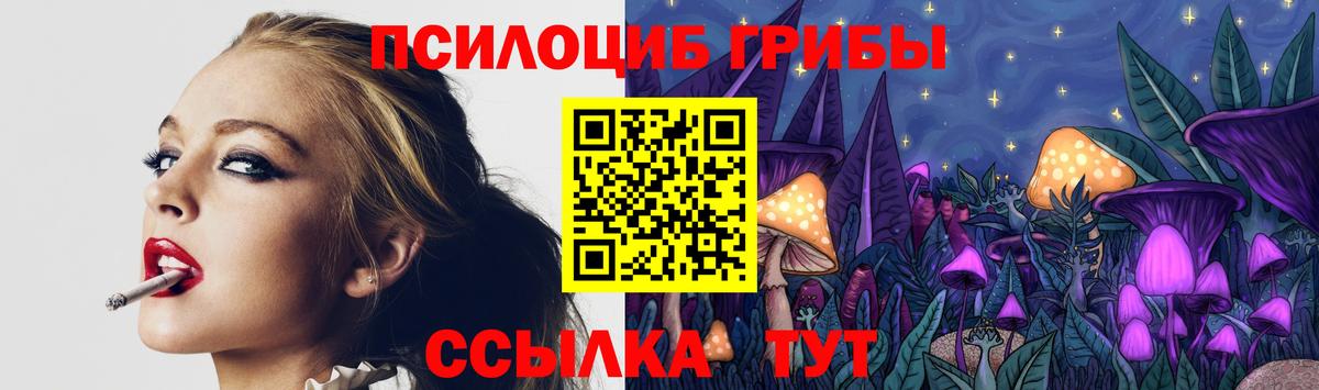 Белово  Псилоцибиновые грибы MAGIC MUSHROOMS  Вход с VPN 